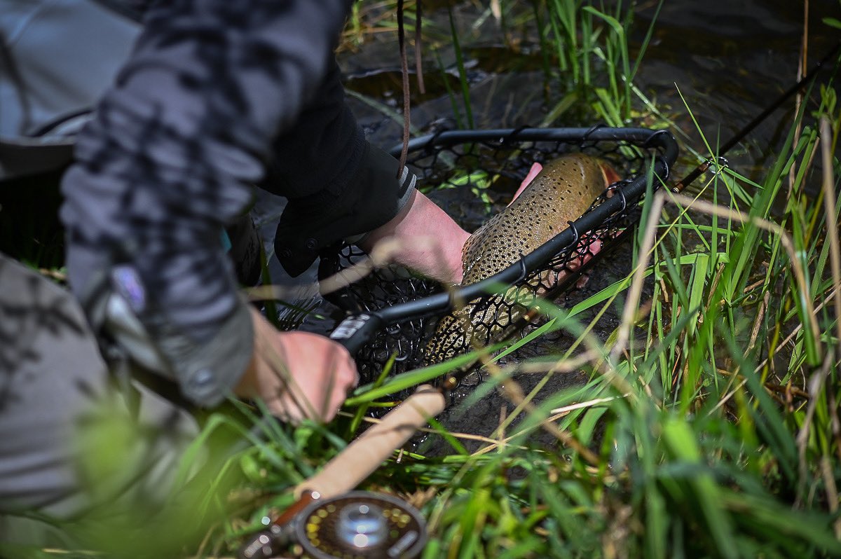spokaneflyshop's tweet photo. Spring green is now in our near future. Such a great time of the year, happy Spring fishing!
#spring #cutthroattrout #flyfishing #flyfish #fishing #dryflyfishing #risingnets #silverbowflyshop https://t.co/as2cIC6vbY