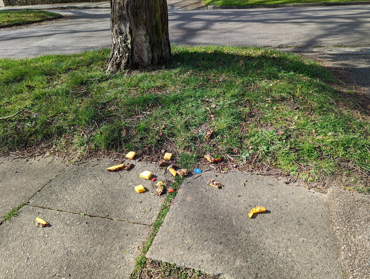 Hello <a href="/reigatebanstead/">Reigate & Banstead Borough Council</a> can you please ensure your refuse collectors clean up after they throw bagged food waste over the pavement. Thanks.