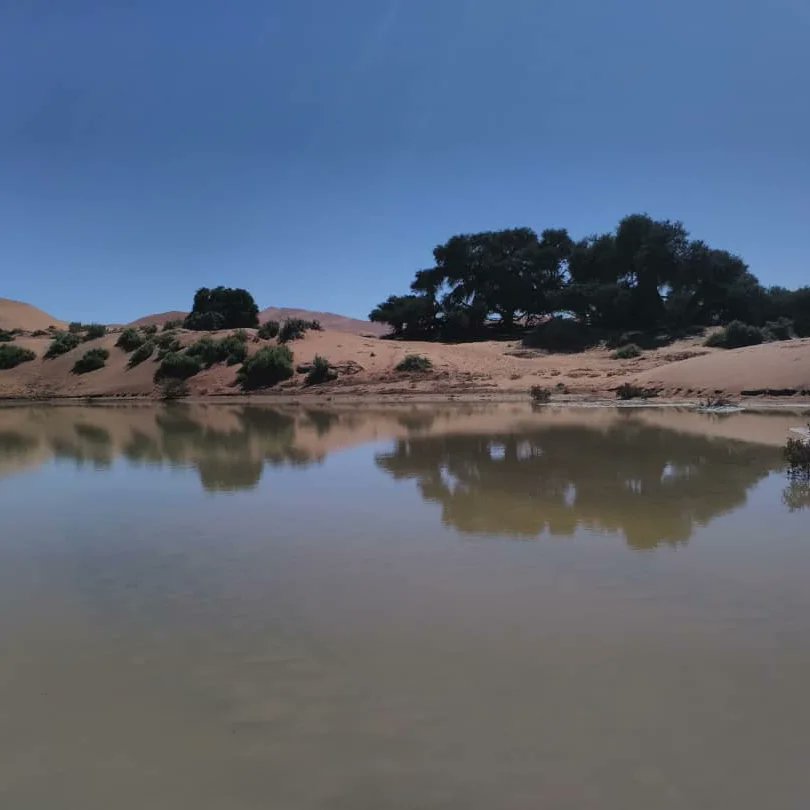 CcMeerkat's tweet photo. One thing about rainfall in Namibia it will fill up the desert 😊.
#sossusvleidunes #lets_travel_namibia #namibiatravel https://t.co/8UK2HiKKvu