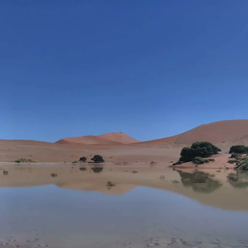 CcMeerkat's tweet photo. One thing about rainfall in Namibia it will fill up the desert 😊.
#sossusvleidunes #lets_travel_namibia #namibiatravel https://t.co/8UK2HiKKvu
