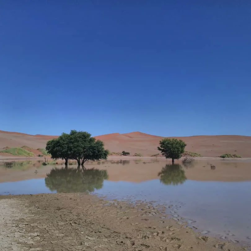 CcMeerkat's tweet photo. One thing about rainfall in Namibia it will fill up the desert 😊.
#sossusvleidunes #lets_travel_namibia #namibiatravel https://t.co/8UK2HiKKvu