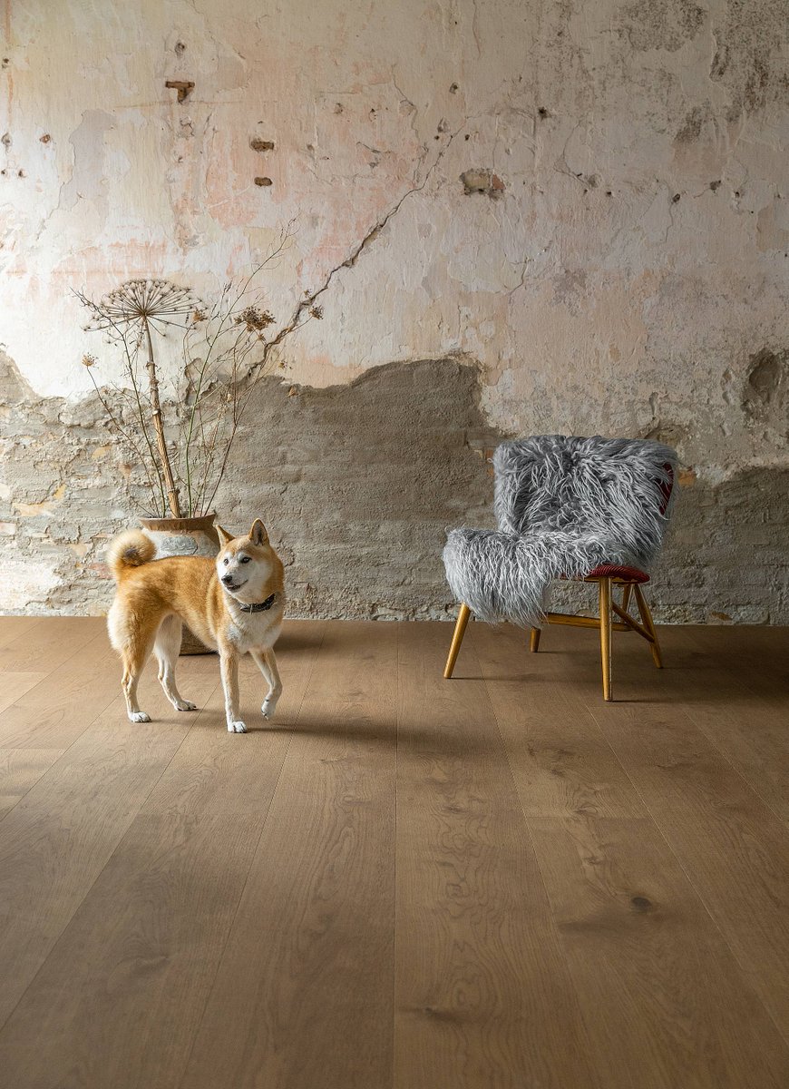 BjelinFlooring's tweet photo. It is advanced technology that gives the floors from Bjelin its unique properties and remarkable qualities. Bjelins hardened wooden floors, manufactured with the patented Woodura® technology stand out in comparison with normal parquets. 
Read more: https://t.co/RdGc3OuTL6 https://t.co/UbNG13x8jE
