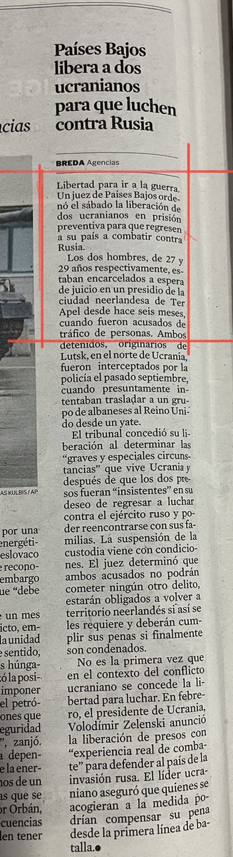 WTF
En el panorama del surrealismo actual…