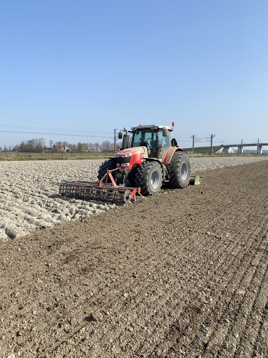 Vals zaaibed maken, hopen op een buitje regen🤞🏻