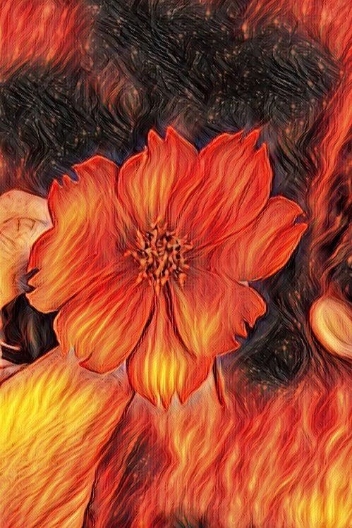 Scorpion_57_'s tweet photo. Fire Flower

Check out it at: https://t.co/tRUh9z33fd

#NFT #NFTCollection #NFTartist #nftartworld #nonfungibletoken https://t.co/VpXXdVFjhX