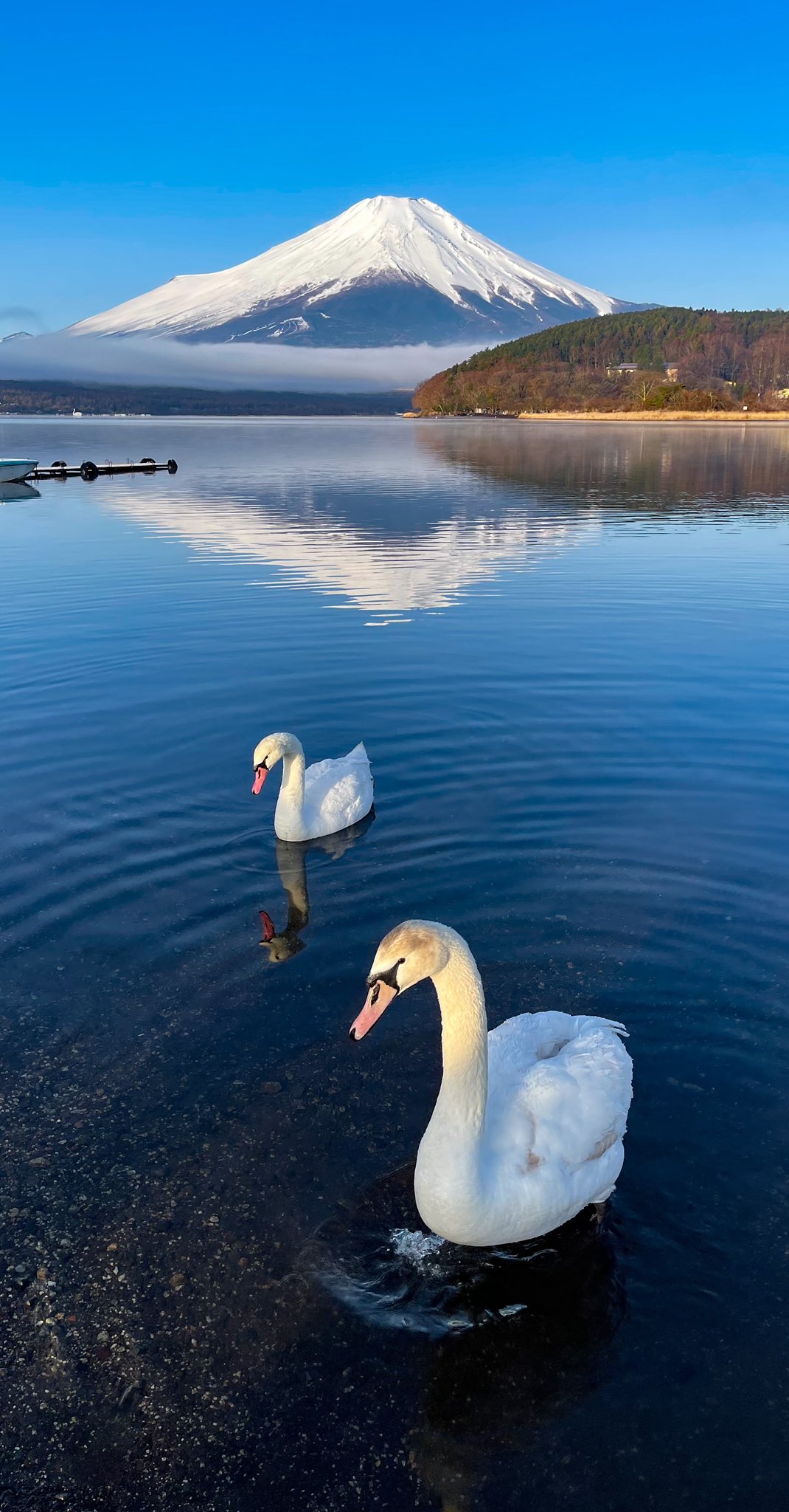⭐︎ご確認用⭐︎ 満月と白鳥と湖のトレイ ⭐︎ご確認用⭐︎ 満月と白鳥と湖のトレイ ⭐︎ご確認用