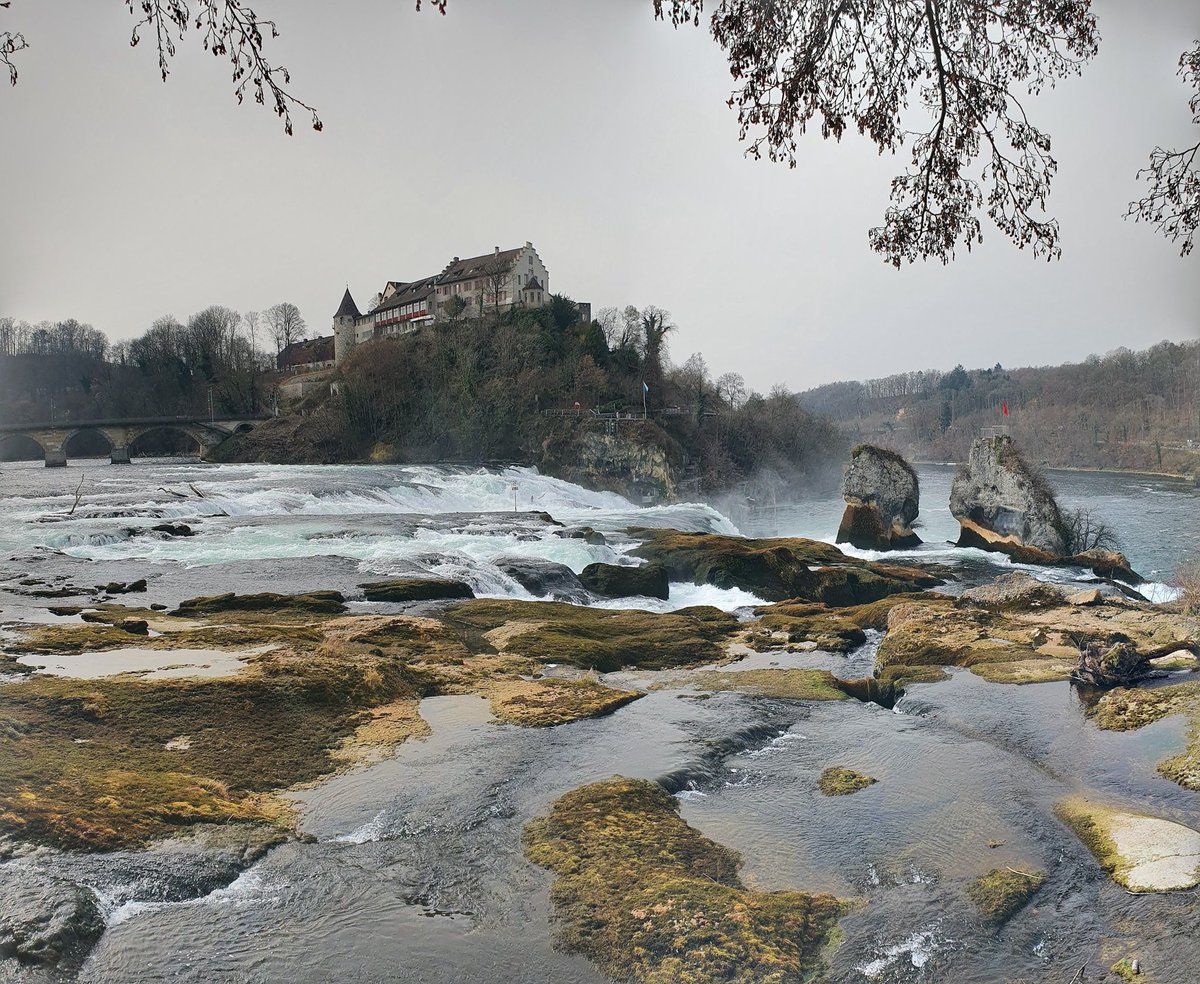 HelgaHeide's tweet photo. Last week we also visited #rheinfall https://t.co/5IlycKXMVU