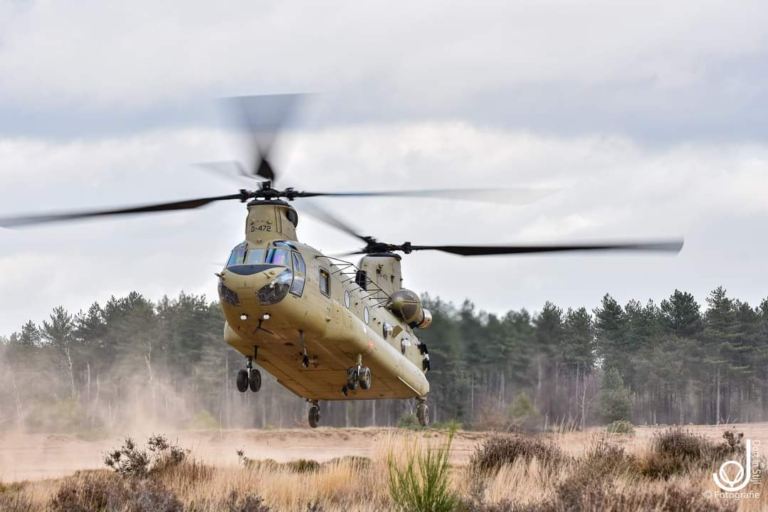 dhcluchtmacht's tweet photo. Een #Chinook transporthelikopter traint vandaag samen met onze partners van  @11luchtmobiel  op de Arnhemse heide @gemeentearnhem en in de omgeving van @gemsomeren. 
 #trooping #watvliegter https://t.co/UdO8L202Tr