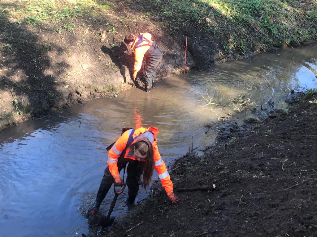 The_WMA's tweet photo. Last week the WMA #Environmental Team were finalising the onsite #watervole mitigation prior to an exciting #river #restoration project at Lamsey Beck | #SlowingTheFlow #Eye #Suffolk  #flooding 🌊  @EnvAgency @RiverWaveney #WLYLIDB 👍 https://t.co/SjWFAMuQi6