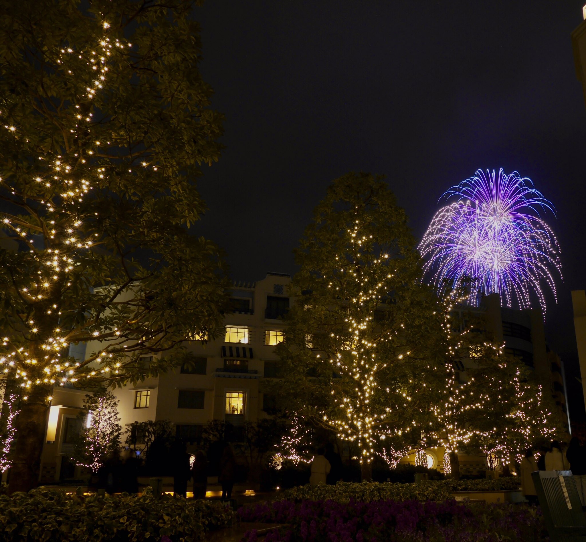 恐縮にしやん鴨 花火垢 ディズニーライトザナイトw東京ディズニーリゾート花火 ちょw雨あがり 低い雲っぽい感じがしましたが 花火 は雲に隠れずに済みました鴨 恐縮でございます 帰ります T Co Frwakeqqle Twitter