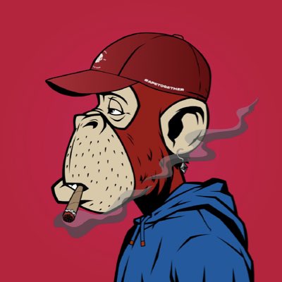 ddslpy's tweet image. #NouvellePhotoDeProfil