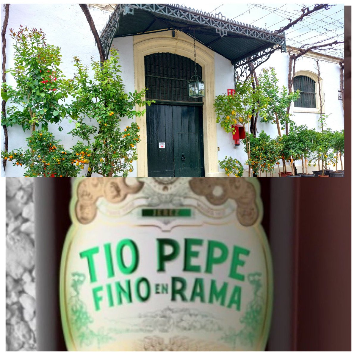 Hacedordevinos's tweet photo. Hemos embotellado para vosotros, la fuerza de nuestra tierra, el silencio de la bodega, el sol, la sal, la lluvia y el viento. Hemos embotellado la primavera.
#TíoPepe #EnRama2022 en la flor de la vida #SueloyVelo https://t.co/3wBQSBDGFe