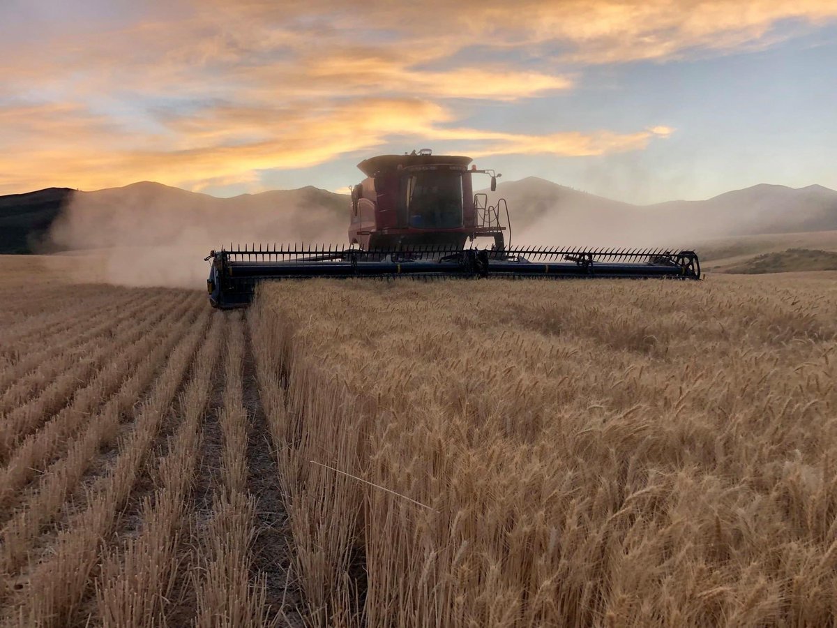 Here's to the work of many generations of farmers 🌾 as well as the individuals in the agriculture industry who contribute through manufacturing, technology, research, and more. #NationalAgDay #AgDay22