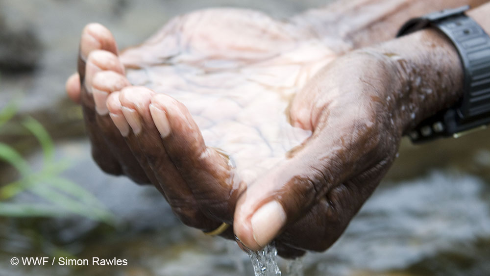 World_Wildlife's tweet photo. This #WorldWaterDay, we’re bringing awareness to the significance of groundwater. Get the details: https://t.co/Y7KHxAkk5s. https://t.co/HhwE4tDxWc