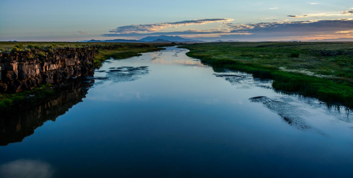 We Are Water SW tweet media