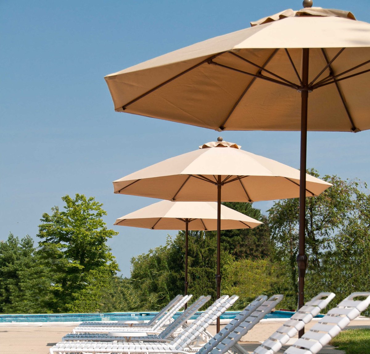 PatioLiving_com's tweet photo. The Monterey fiberglass market umbrella collection is manufactured using the best and most resilient materials available. Designed to allow you to bring commercial durability home to your cherished outdoor living space. https://t.co/qi5UW1sf3M https://t.co/TjUVmTUTR0
