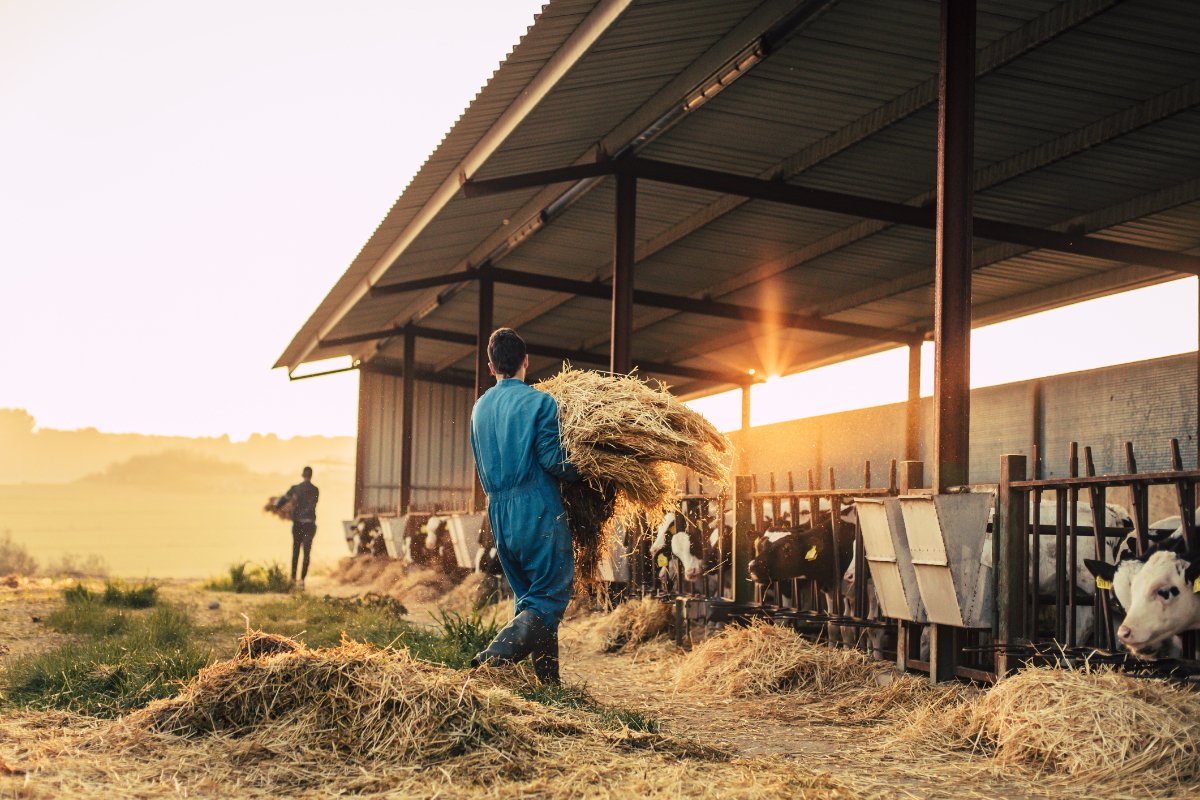 Today we celebrate National Agriculture Day. A day where we give support to our farmer's and agricultural laborers. The backbone of American society.