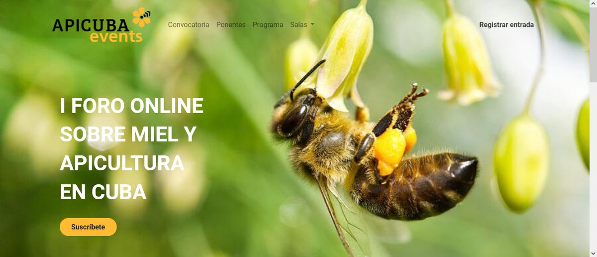 The I #Online Forum on #Honey and #Beekeeping in #Cuba will take place on March 23 and 24, 2022, organized by the Cuban Beekeeping Company, #APICUBA
🇨🇺▶️mincex.gob.cu/es/Noticia/I_F…