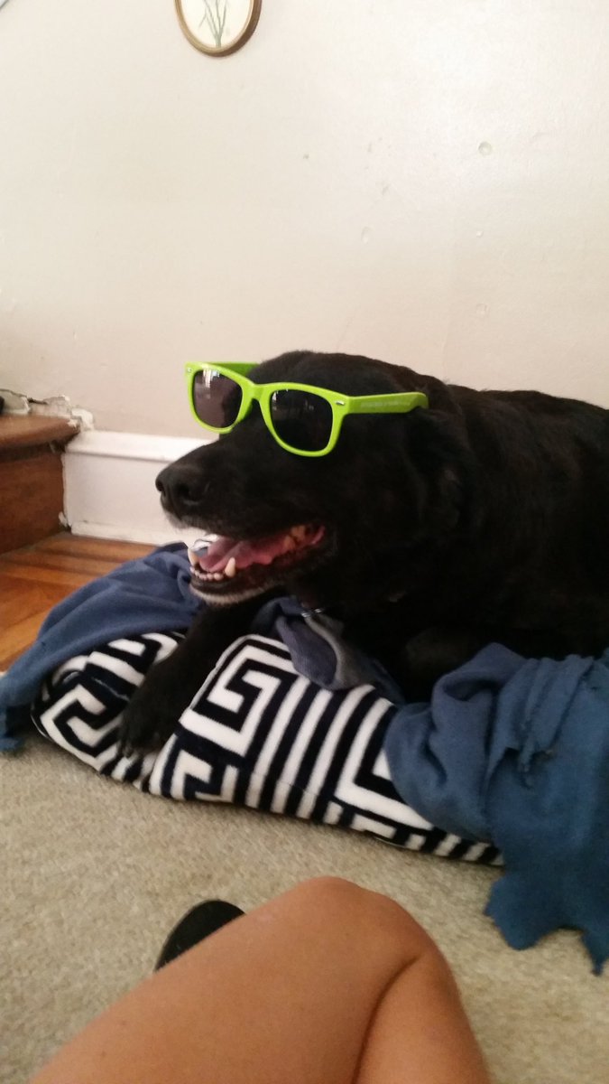 hopshead's tweet image. #BuschBarkBracket #contest