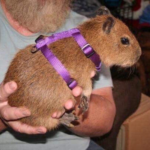 Here take him on a journey 😤💕