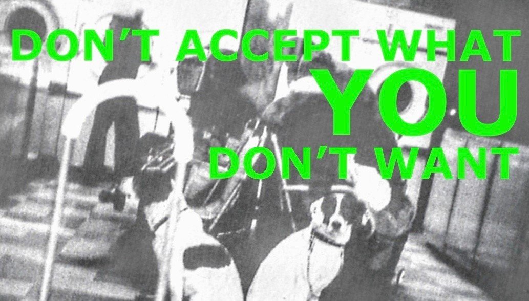 something we can call ours™ - Neil Lillystone - Black Cat Studio - Nottington - swcco - swcco.xyz - the same old rubbish - don't accept what you don't want - nL hq  - srf247 - Neil Lillystone