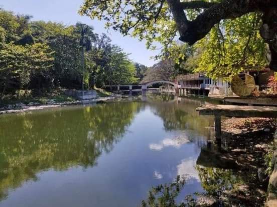 Cada 22 de marzo se celebra el #DíaMundialDelAgua para recordar la importancia de tan vital líquido,este año se dedica a las aguas subterráneas, que son decisivas para el buen funcionamiento de los ecosistemas ambientales. Es imprescindible el uso racional y productivo del agua