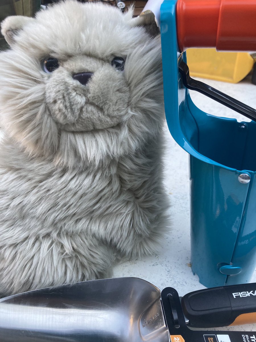 Werte Gefolgschaft,
seit Tagen raschelt die Menschin mit Tütchen und ist ganz hibbelig.😻
Und heute habe ich DAS entdeckt!🙀

Könnte das bedeuten, dass wir bald wieder da sind, wo die Luft so salzig schmeckt?😸