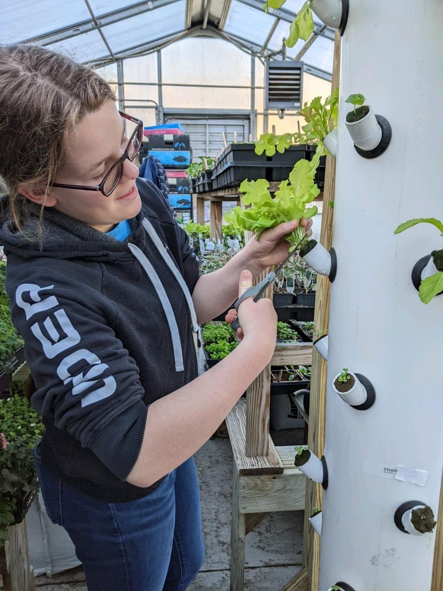 DepositCSDSupt's tweet photo. Hydroponics, aeroponics and aquaponics…our plant science students grew some lettuce which was served to our elementary students today! #farmtoschool #greenhouse @Rock_on_Cafe https://t.co/XgnQgdhXRF