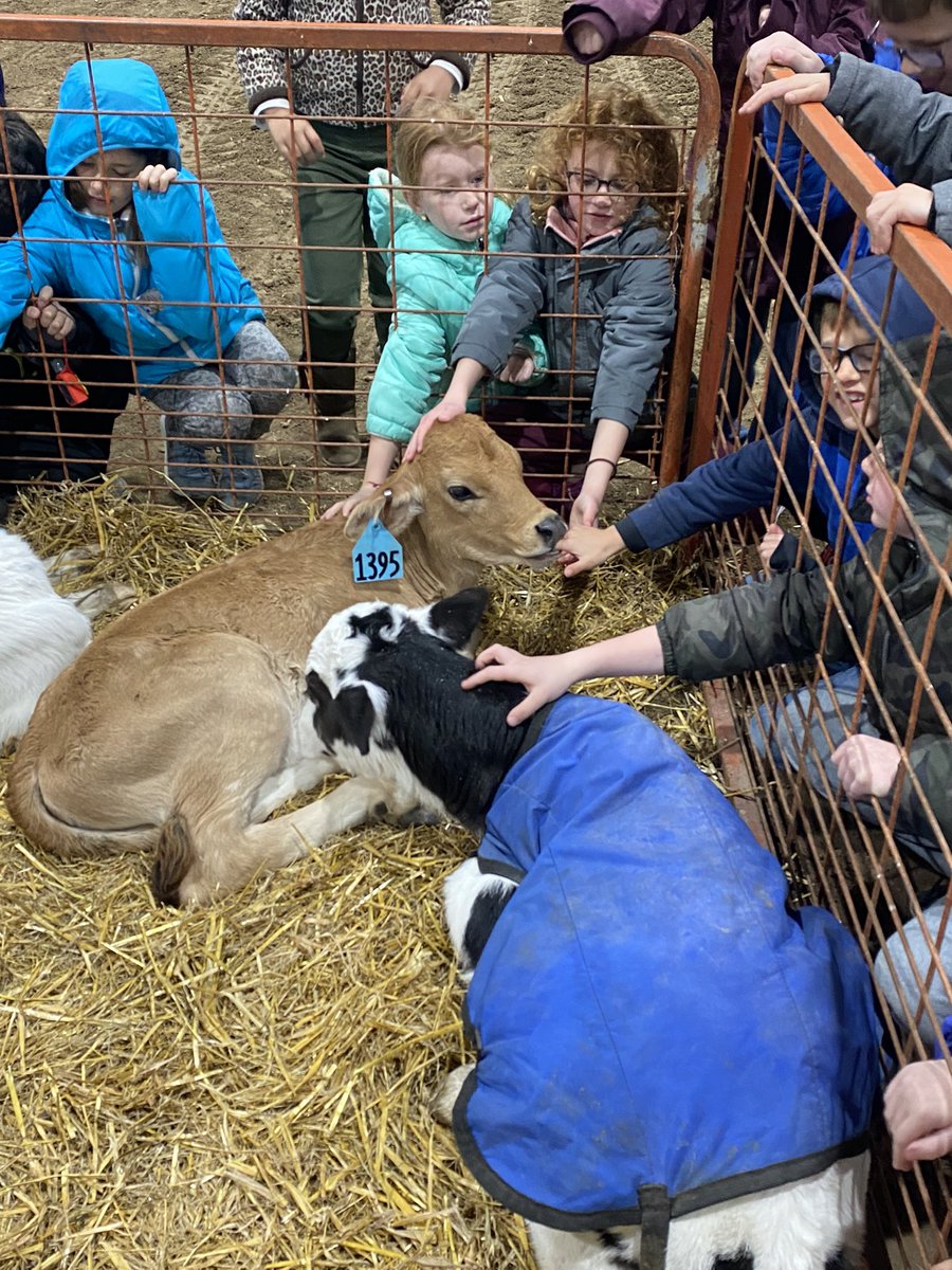 More…corn, cattle, and tractors! #lakeviewvikes <a href="/ShellCreekVikes/">LCS Shell Creek Elementary</a>