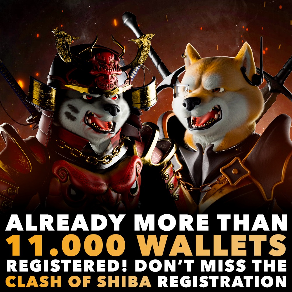 Already more than 11.000 wallets registered for the raffle 🔥

Only 2 days left to register your wallet on clashofshiba.io/mint 🚨

The team is very proud of this early participation, it's time to build a real game with real utility 📱