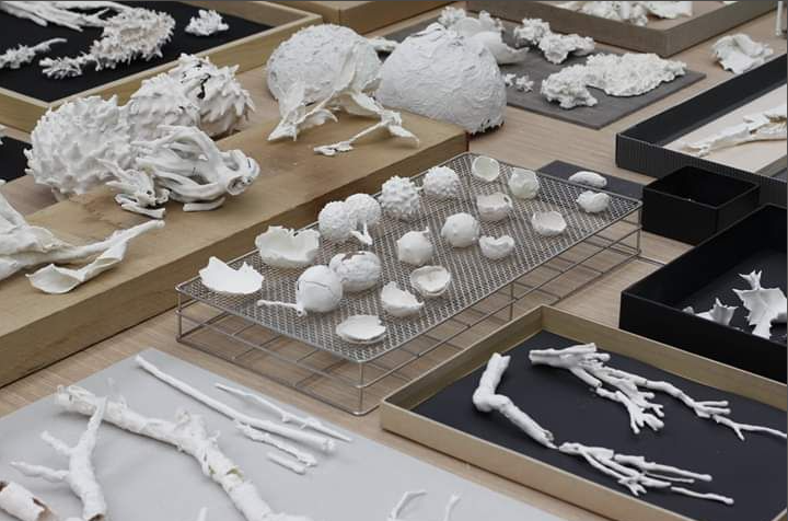 📢 Plano de establecimiento (2022) de #BettinaGeisselmann ha sido ha sido escogida por el equipo de #ARTEINFORMADO dentro de la convocatoria de #SeBuscaObra como la más destacada de la semana ¡Felicidades! 🤩 👏👏

👉 Más info sobre obra y artista aquí: arteinformado.com/galeria/bettin…