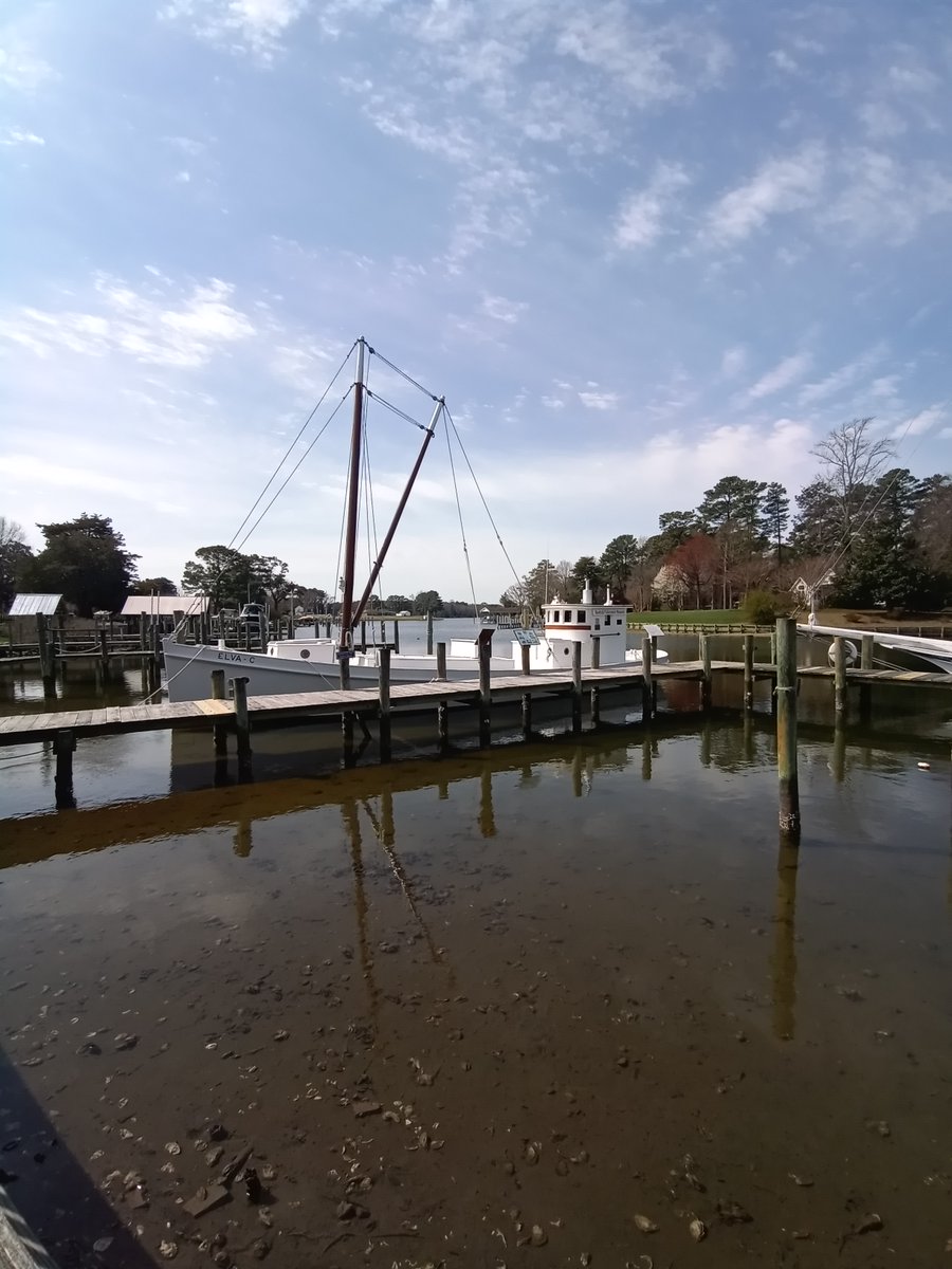 rfmuseum's tweet photo. We couldn't ask for a nicer day to show off some of our outdoors features.
Special thanks to our RFM Boat Shop for repainting the museum's sign!

#RFM #reedville #reedvillefishermensmuseum #va #skipjack #museum #deadriseboats #claudwsomers #elvac #boats #nnk #northernneck https://t.co/bl3ByQrAlG