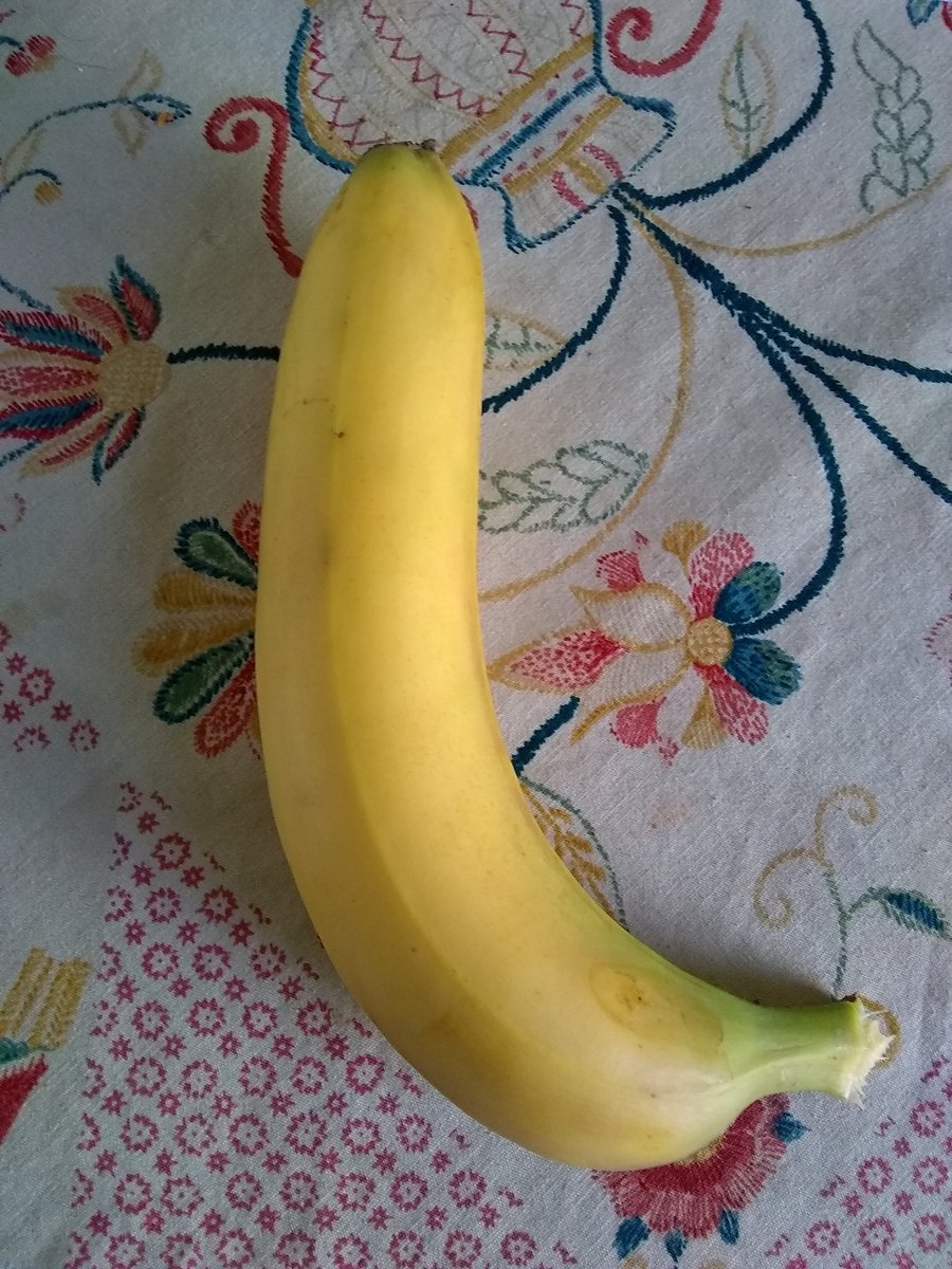 foonkymomo's tweet photo. Can you please rate this banana? #NFT #NFTCommunity #NFTGiveaway #NFTCollection https://t.co/b71RIOWXyC