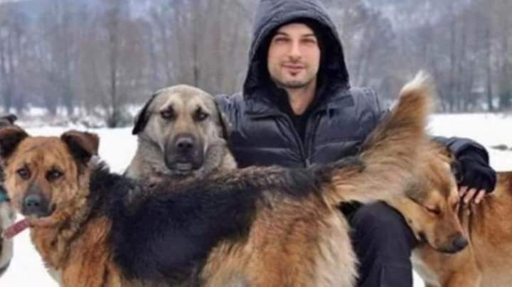 Sokak köpekleri için çiftlik satın alan adama TARKAN denir.
#AdamsınTARKAN✌