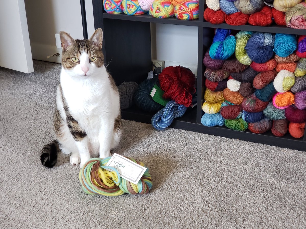 Art Dahm tweet media