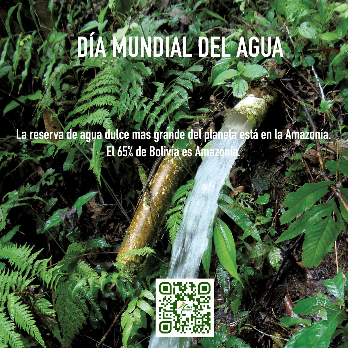 FAN_Bolivia's tweet photo. #DíaMundialdelAgua https://t.co/y0opzvWQhG