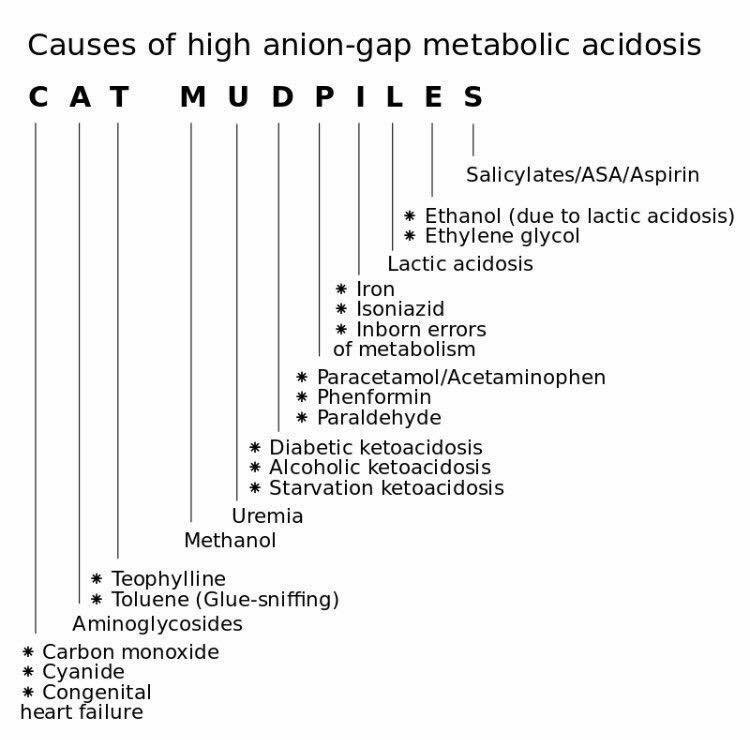 PatologCritica's tweet photo. CAT MUDPILES!!
Para recordar las Causas de #AcidosisMetabólica con #AnionGAP elevado!!!! https://t.co/YXIh8WhF8e