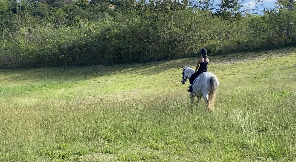 #CruisesCreek living his best life with our “rent-a-kid”!
#ottb #CaribbeanThoroughbredAftercare #HolyBull @ShelleyBlodgett #