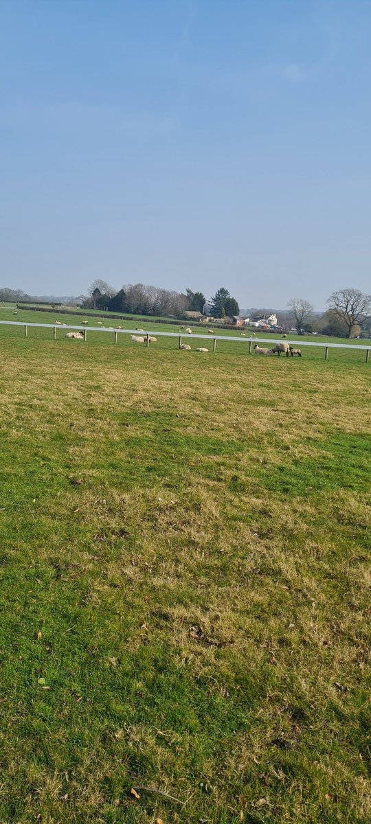 Lauren Codling tweet media