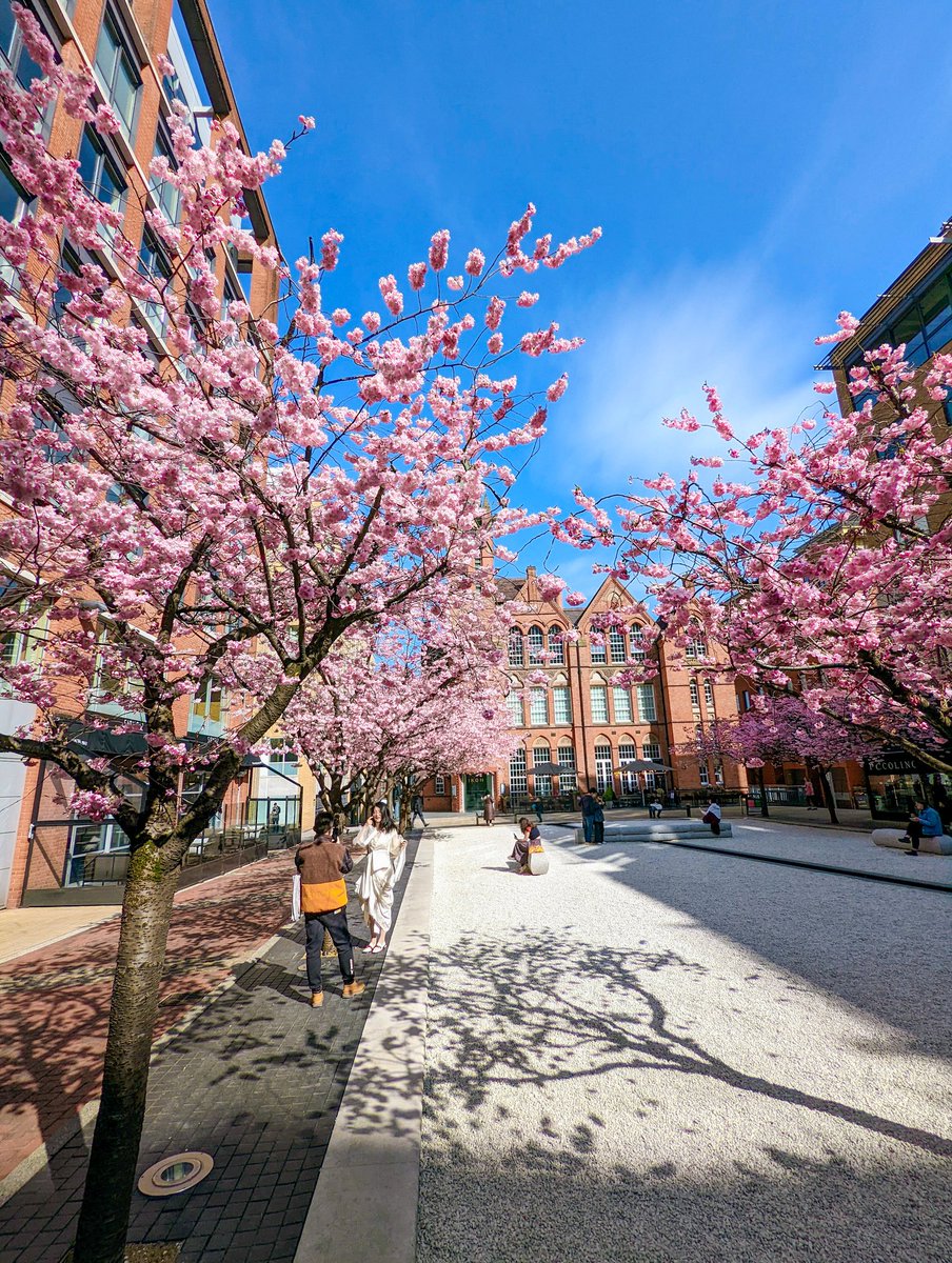 Birmingham We Are tweet media