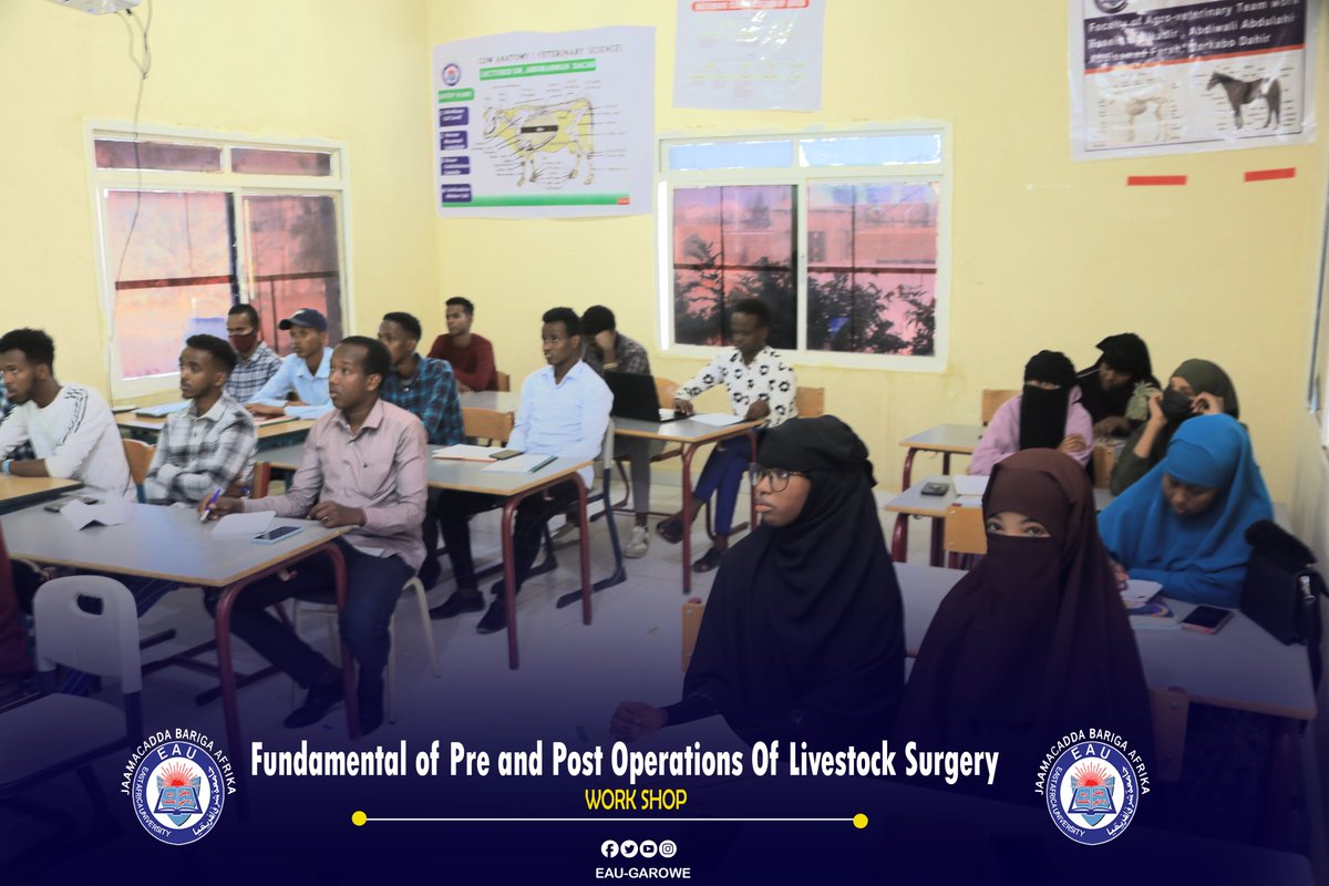 eaugrw's tweet photo. Waxaa galabta ardayda kulliyadda xanaanada xoolaha loo qabtay tababar ku saabsan " Aasaasiyaadka qalliimada Xoolaha  (Kahor iyo Kadib) . https://t.co/hrxM7gfDBS