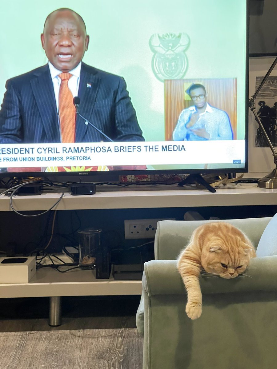 Junbugstone's tweet image. President Cyril Ramaphosa nobody cares bro. Get a hobby #FamilyMeeting