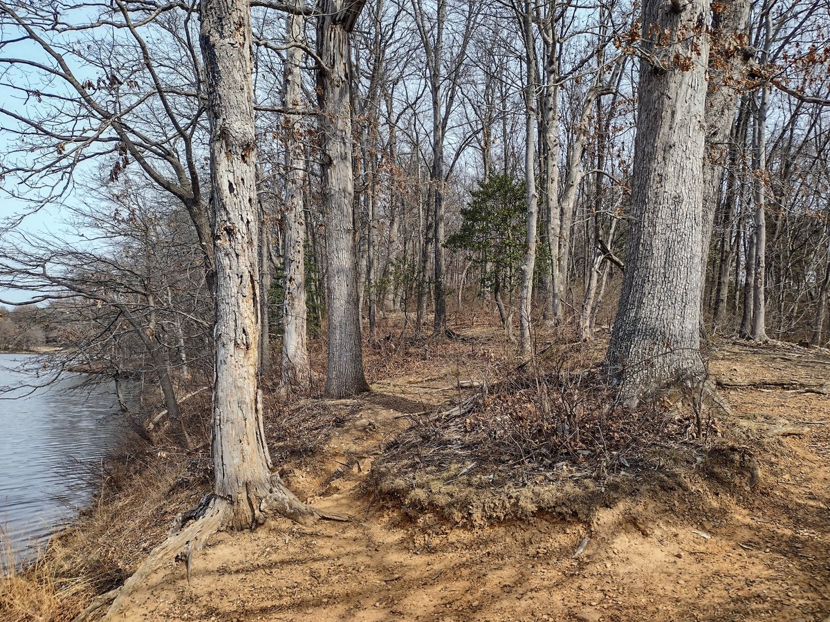 Elnigma3's tweet image. Went to #BreadCorner ( lava cakes, middle cake and green tea swirl cakes both have red bean paste filling )#LakeNeedwood