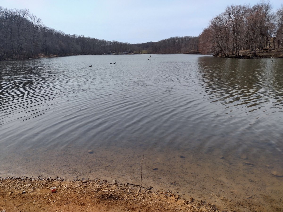 Elnigma3's tweet image. Went to #BreadCorner ( lava cakes, middle cake and green tea swirl cakes both have red bean paste filling )#LakeNeedwood