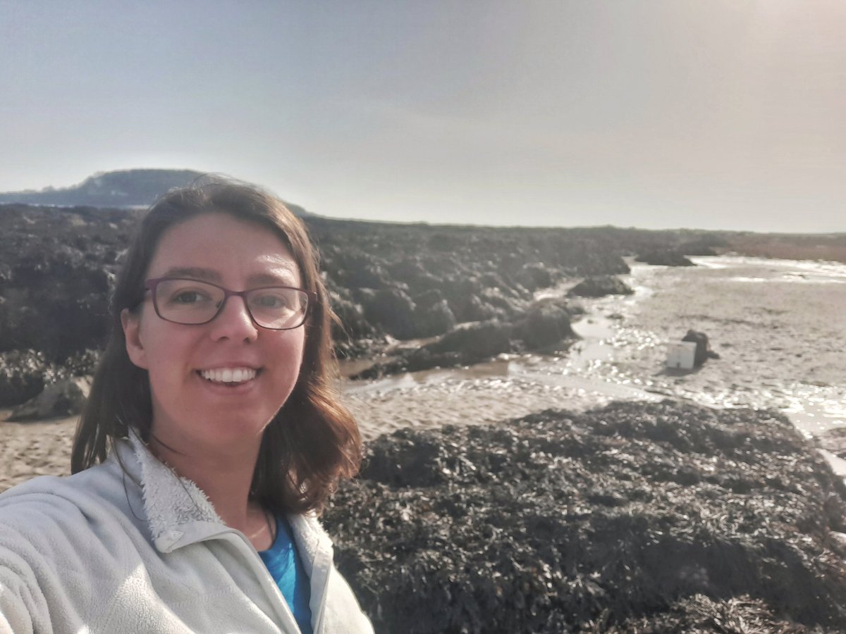 marinebiosoph's tweet photo. Is there a better way to enjoy this gloriously sunny day than doing #fieldwork at the #beach ๐. Hope everyone's enjoying this weather ๐ #student #PlymPostgrad #marinebiology #looe #cornwall https://t.co/dgAmH0sQUb