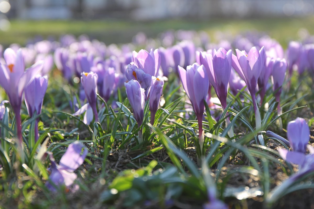 Seine Schelde Vlaanderen tweet media