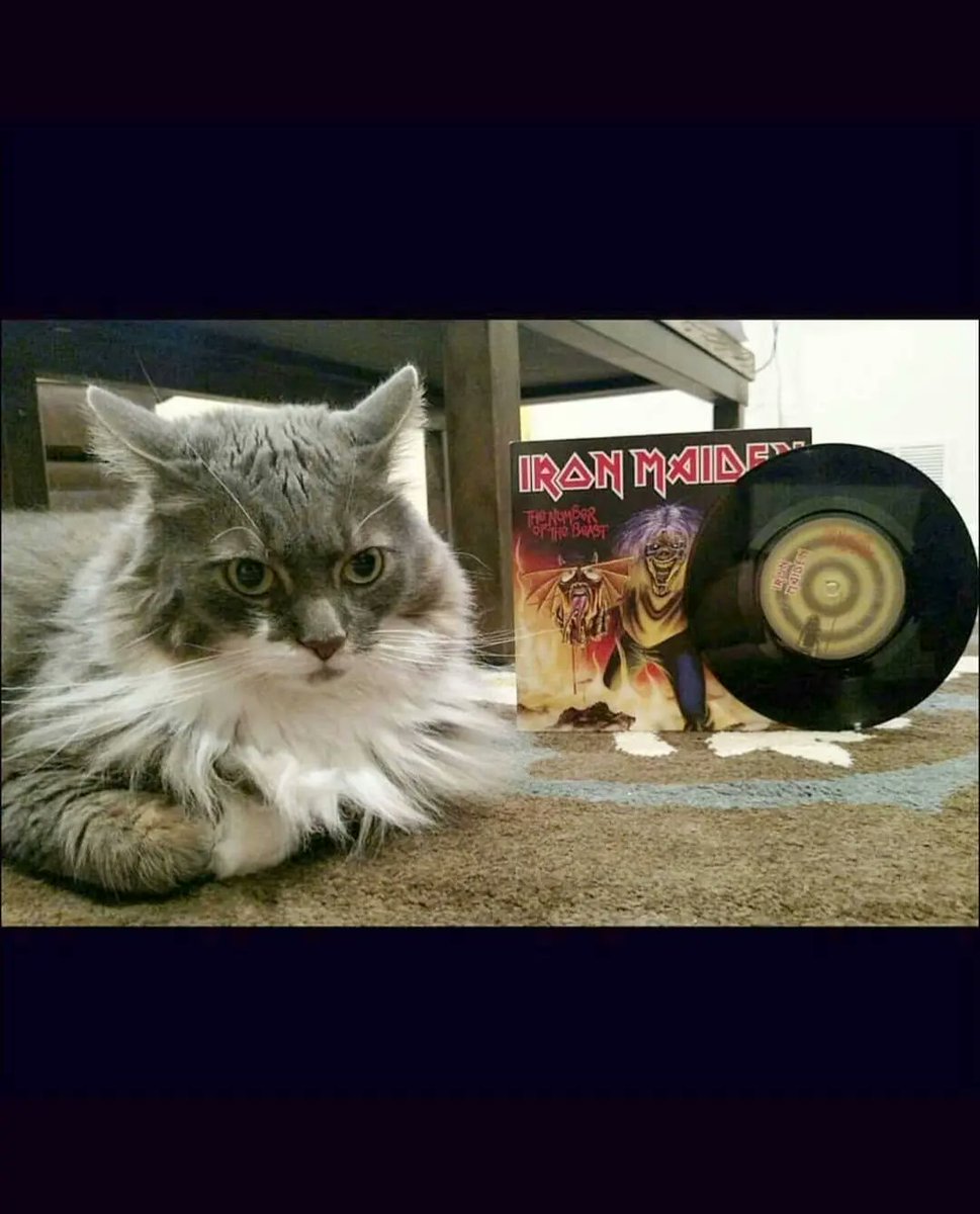 Zach Shaw (@zachshaw) on Twitter photo Happy 40th to <a href="/IronMaiden/">Iron Maiden</a>'s #TheNumberOfTheBeast! instagram.com/p/CbZ-A7Uuj8k/…
youtu.be/GtEzA9q89uU
#NOTB40 #IronMaiden #Eddie #CatsRock Happy 40th to <a href="/IronMaiden/">Iron Maiden</a>'s #TheNumberOfTheBeast! instagram.com/p/CbZ-A7Uuj8k/…
youtu.be/GtEzA9q89uU
#NOTB40 #IronMaiden #Eddie #CatsRock