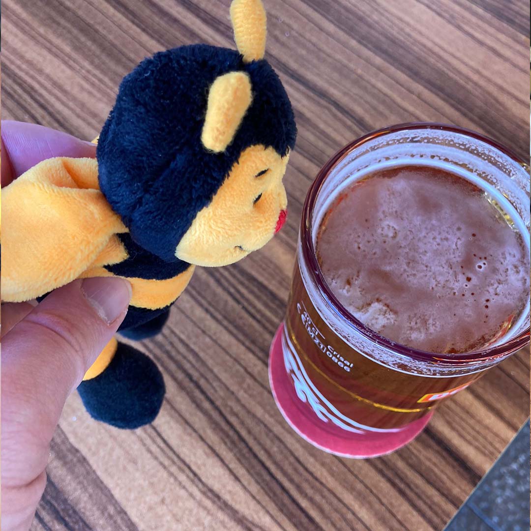 OTBee(r) is back from his holiday with OTB's Tom... time to recover before his next trip🍻

📍Destination: Lanzarote

#Holidays #worklifebalance #workholiday #lanzarotelife #lanzarote_visit #workabroad #ukworkvisa #skilledworkervisa #tier2visa #tier4visa #immigrationlawyer