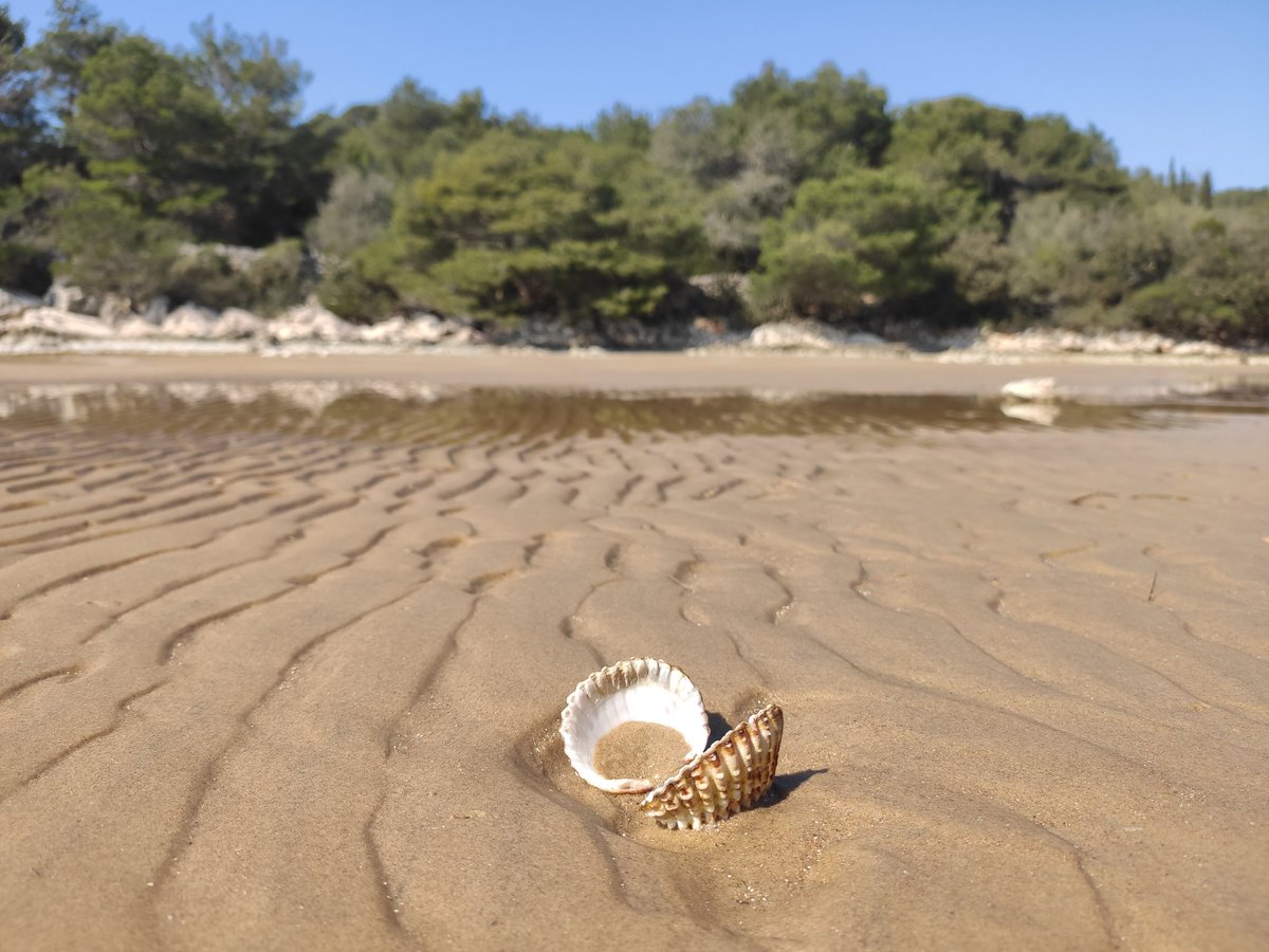 MilinaAdri's tweet photo. Oseka u laguni 🍺🏖️ https://t.co/21uOnwu9ZU