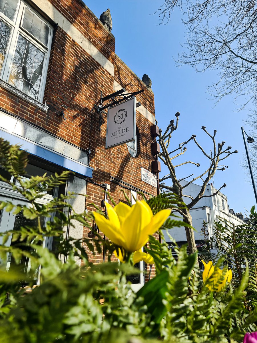 Another beautiful day in London. Our terrace is the ideal place to enjoy lunch in the sun🌞🍽
#sunnylondon #londoninspring #gastropubs #pubinlondon #beautifulpubs #terracegarden #londonlove #hollandpark